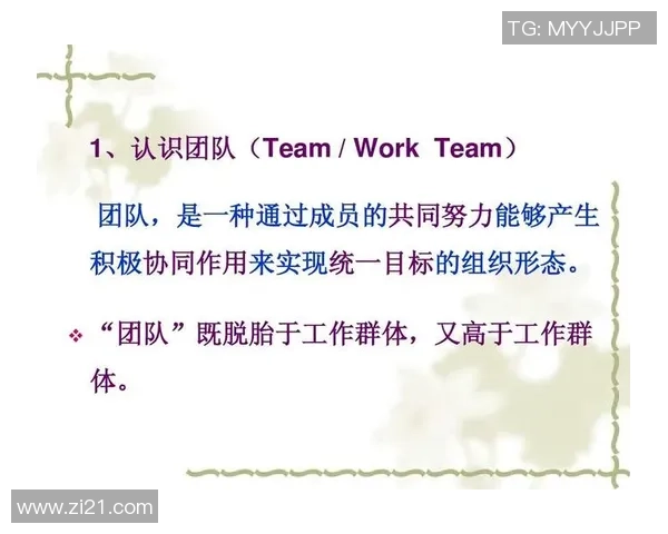 南京乒乓球队团队协作的魅力与挑战探讨